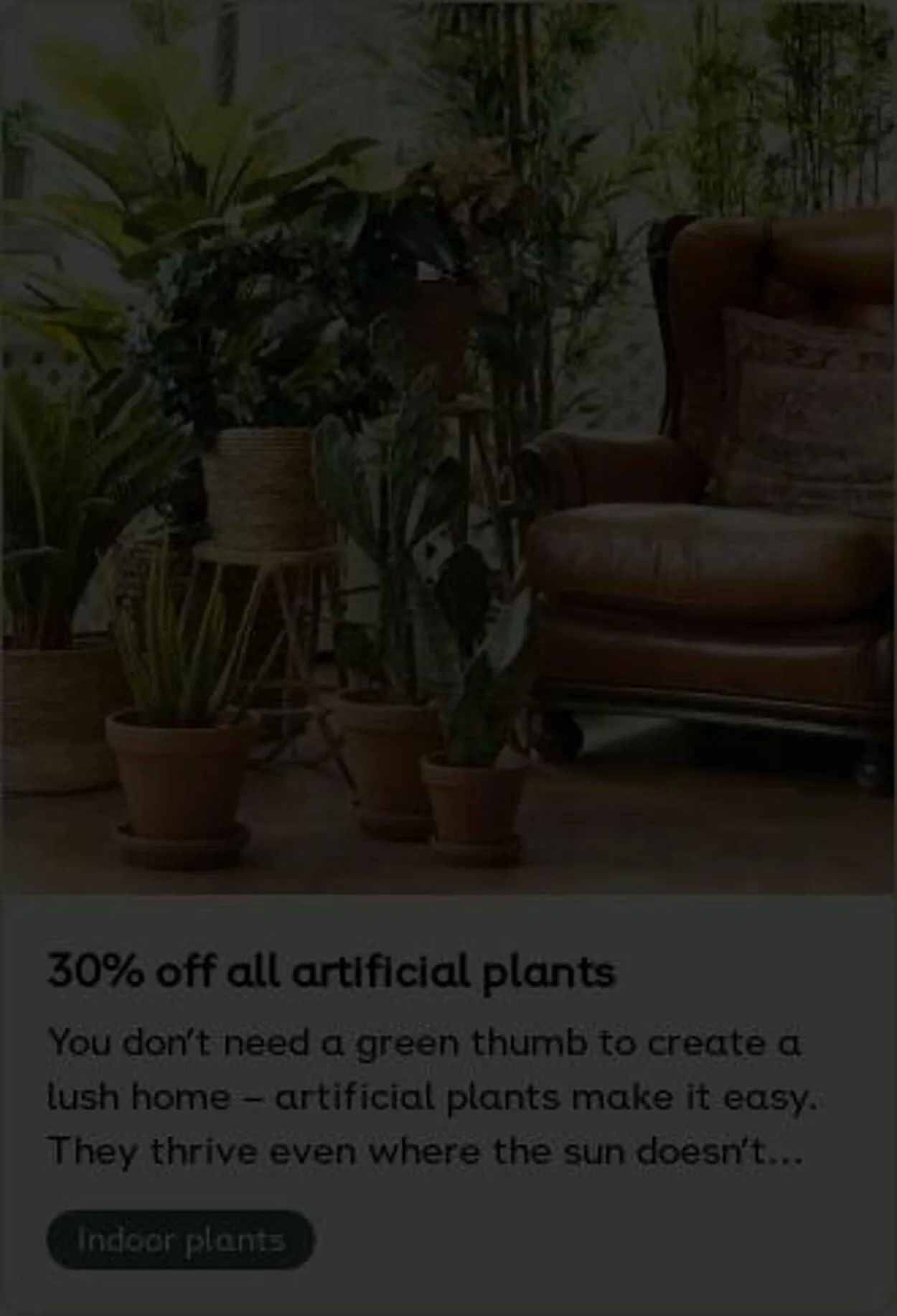 Plantagen från 6 oktober till 15 oktober 2025 - Reklamblad sidor 14