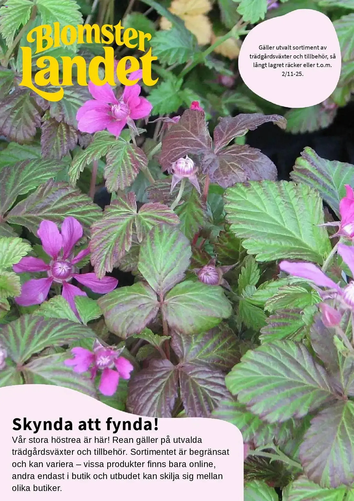 Granngården kampanjblad från 1 oktober till 31 oktober 2025 - Reklamblad sidor 1
