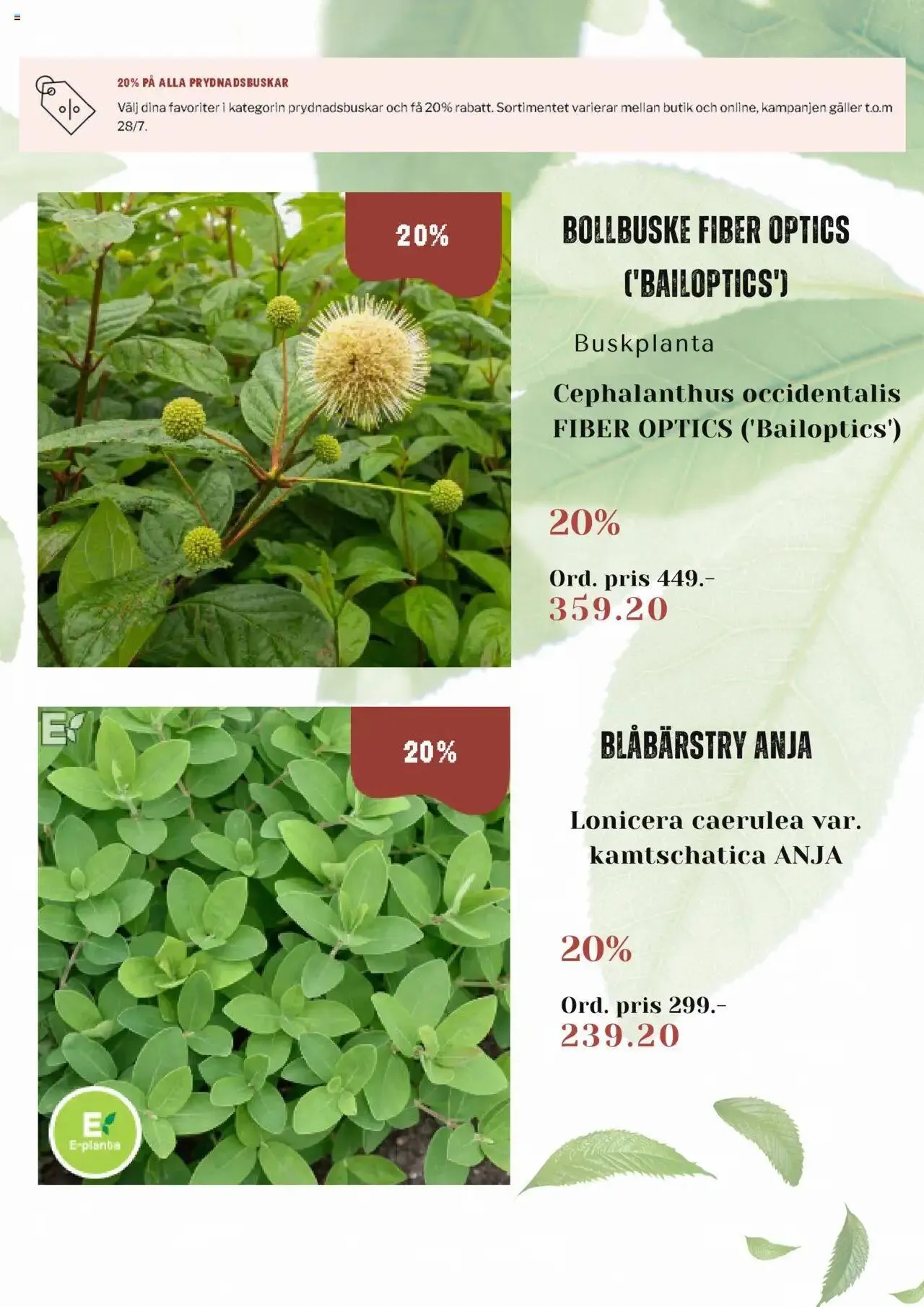 Blomsterlandet - erbjudanden från 15 juli till 28 juli 2024 - Reklamblad sidor 3