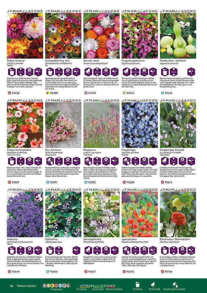 Nelson Gardens frökatalog 2024 är här! från 6 mars till 31 december 2024 - Reklamblad sidor 36