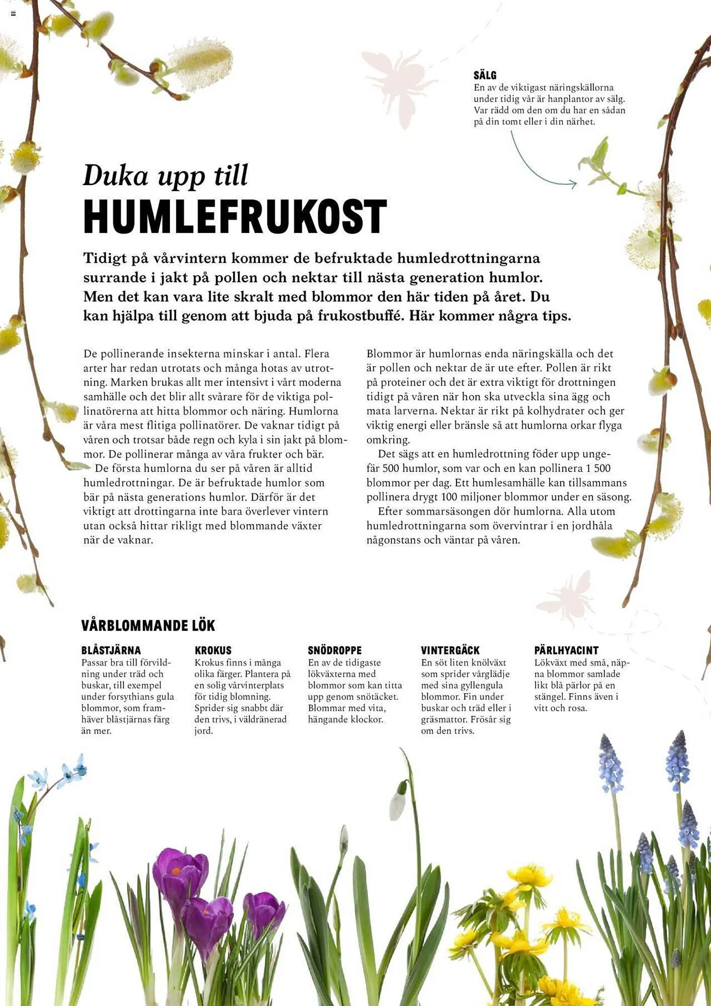 Blomsterlandet reklamblad från 25 september till 1 oktober 2023 - Reklamblad sidor 15