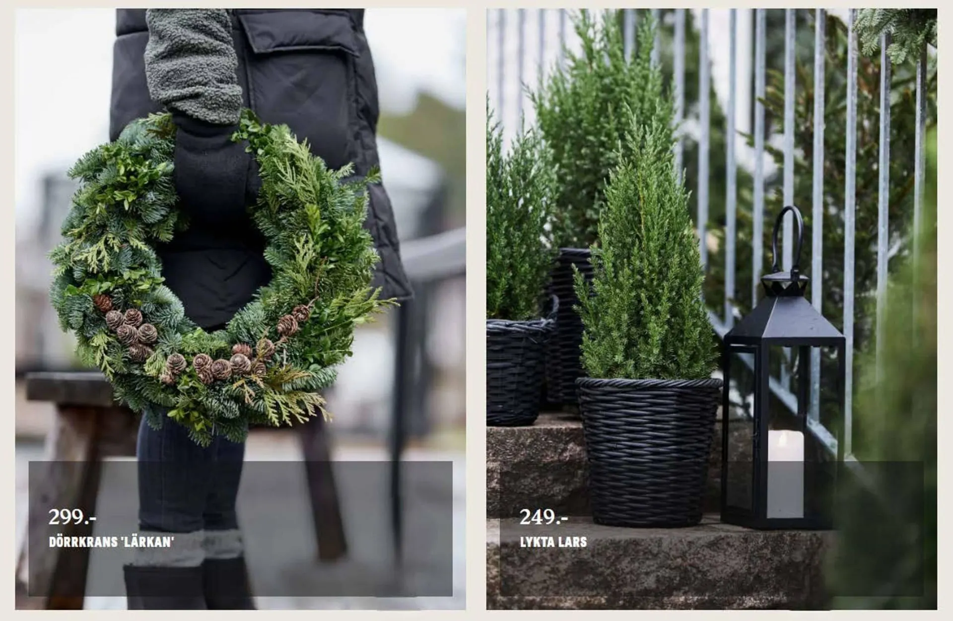 Blomsterlandet reklamblad från 18 november till 25 december 2025 - Reklamblad sidor 2