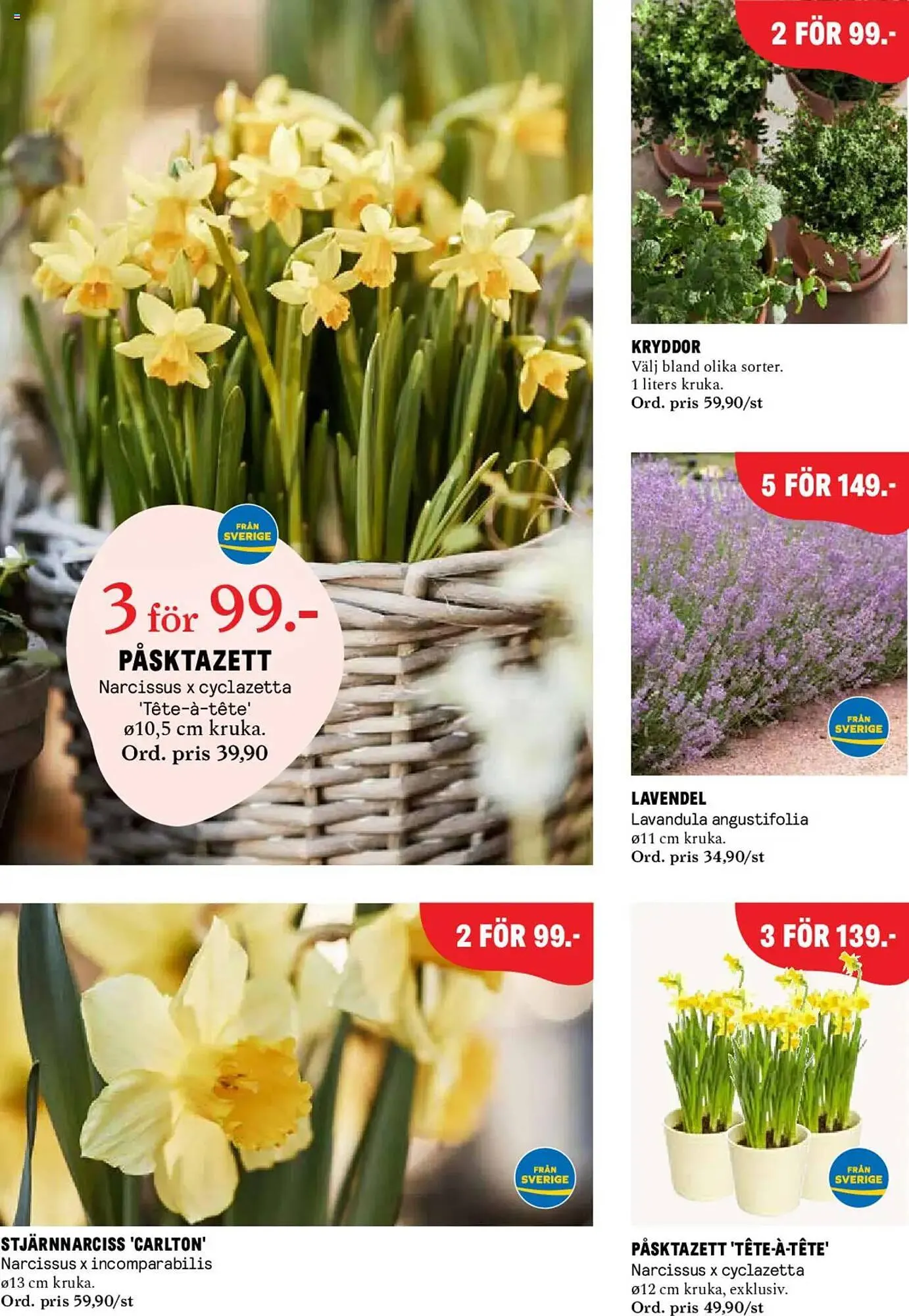 Blomsterlandet reklamblad från 24 mars till 30 mars 2025 - Reklamblad sidor 5