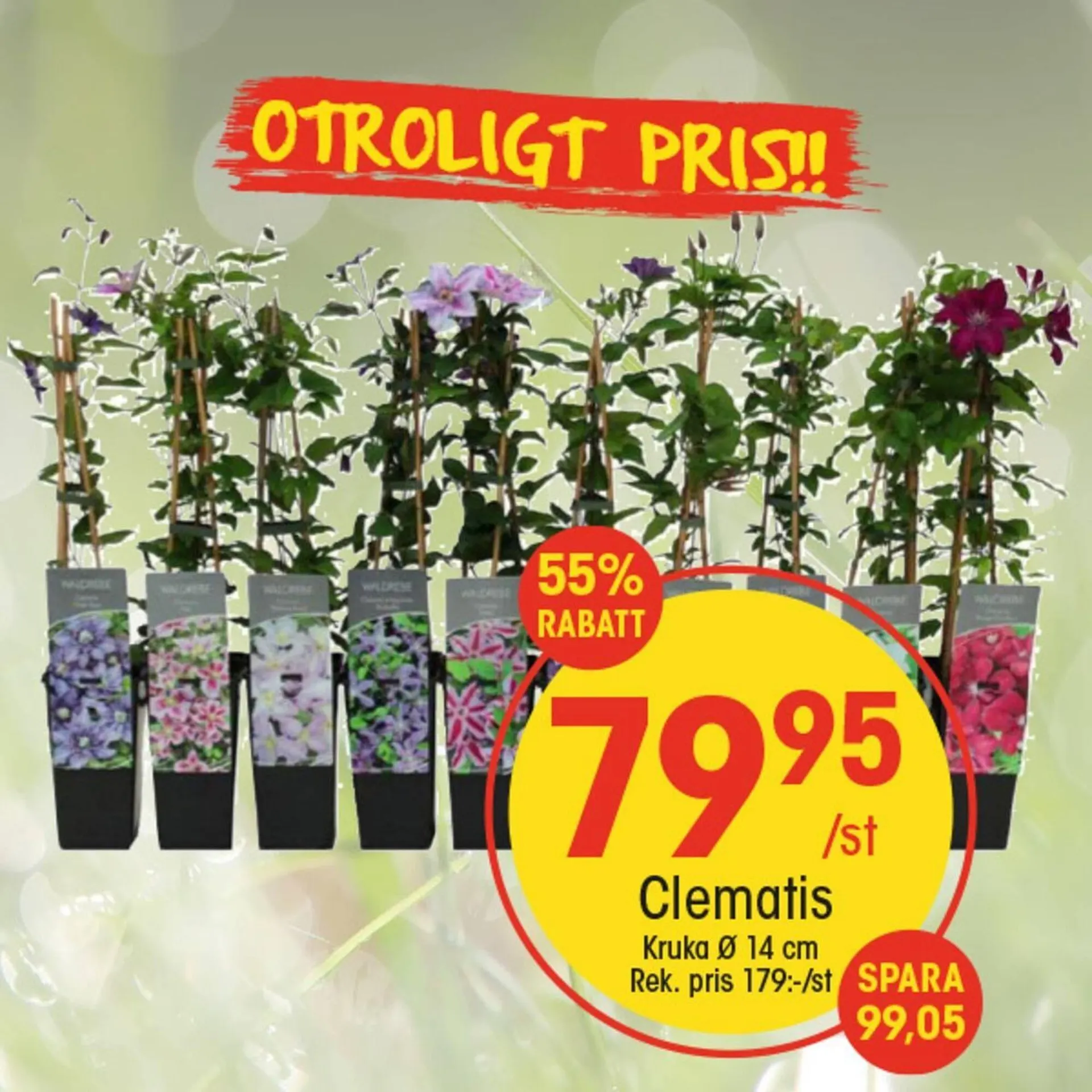 EKO reklamblad från 11 maj till 17 maj 2025 - Reklamblad sidor 6