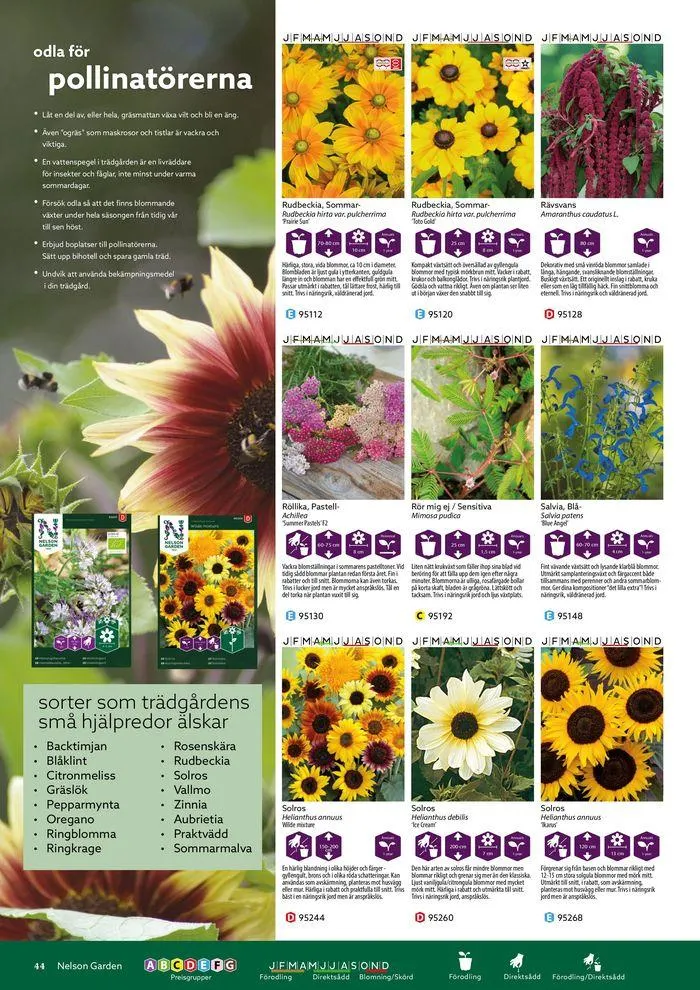 Nelson Gardens frökatalog 2024 är här! från 6 mars till 31 december 2024 - Reklamblad sidor 44