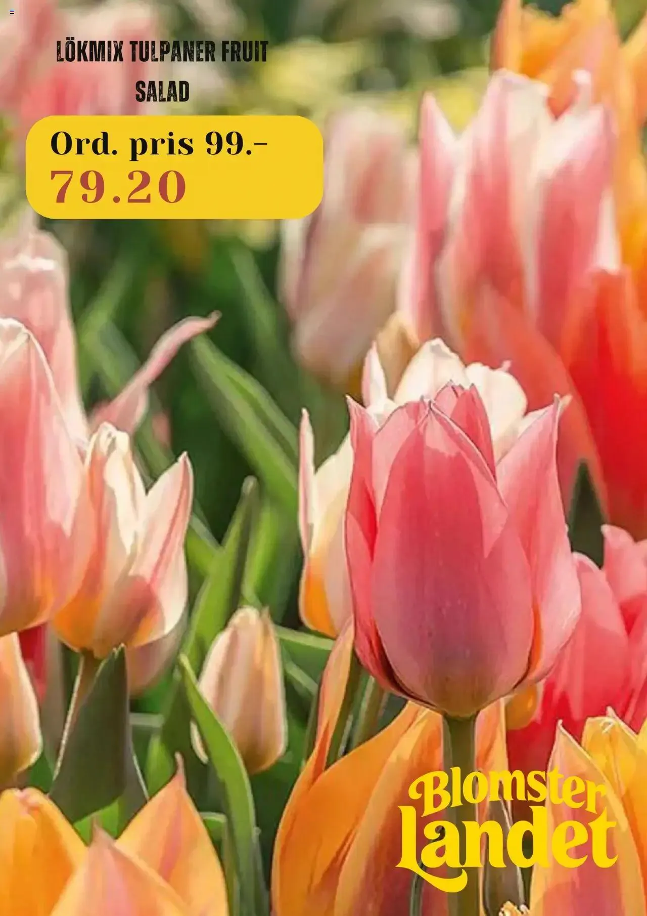 Blomsterlandet - erbjudanden från 15 juli till 28 juli 2024 - Reklamblad sidor 5