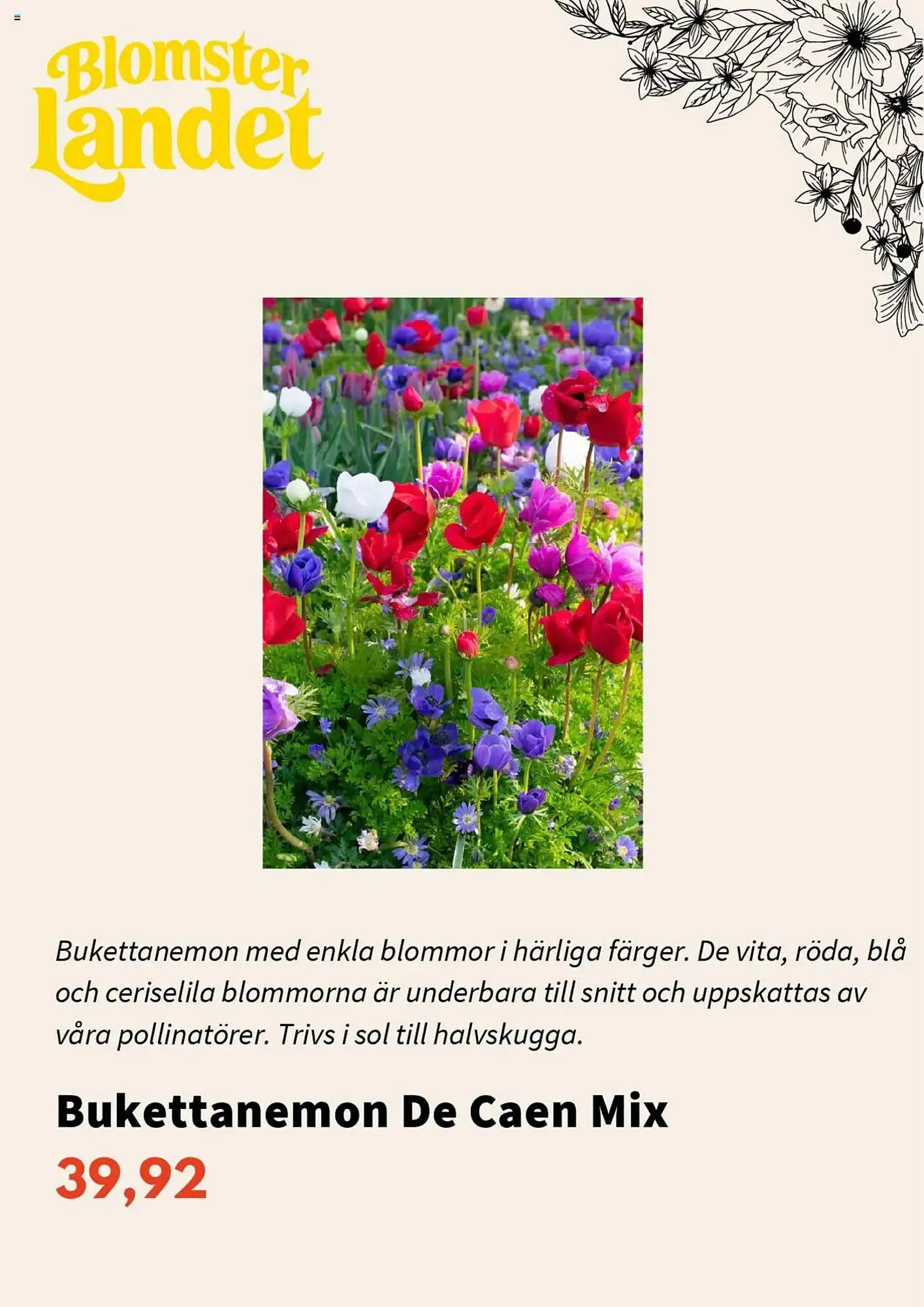 Blomsterlandet reklamblad från 1 mars till 31 mars 2025 - Reklamblad sidor 2