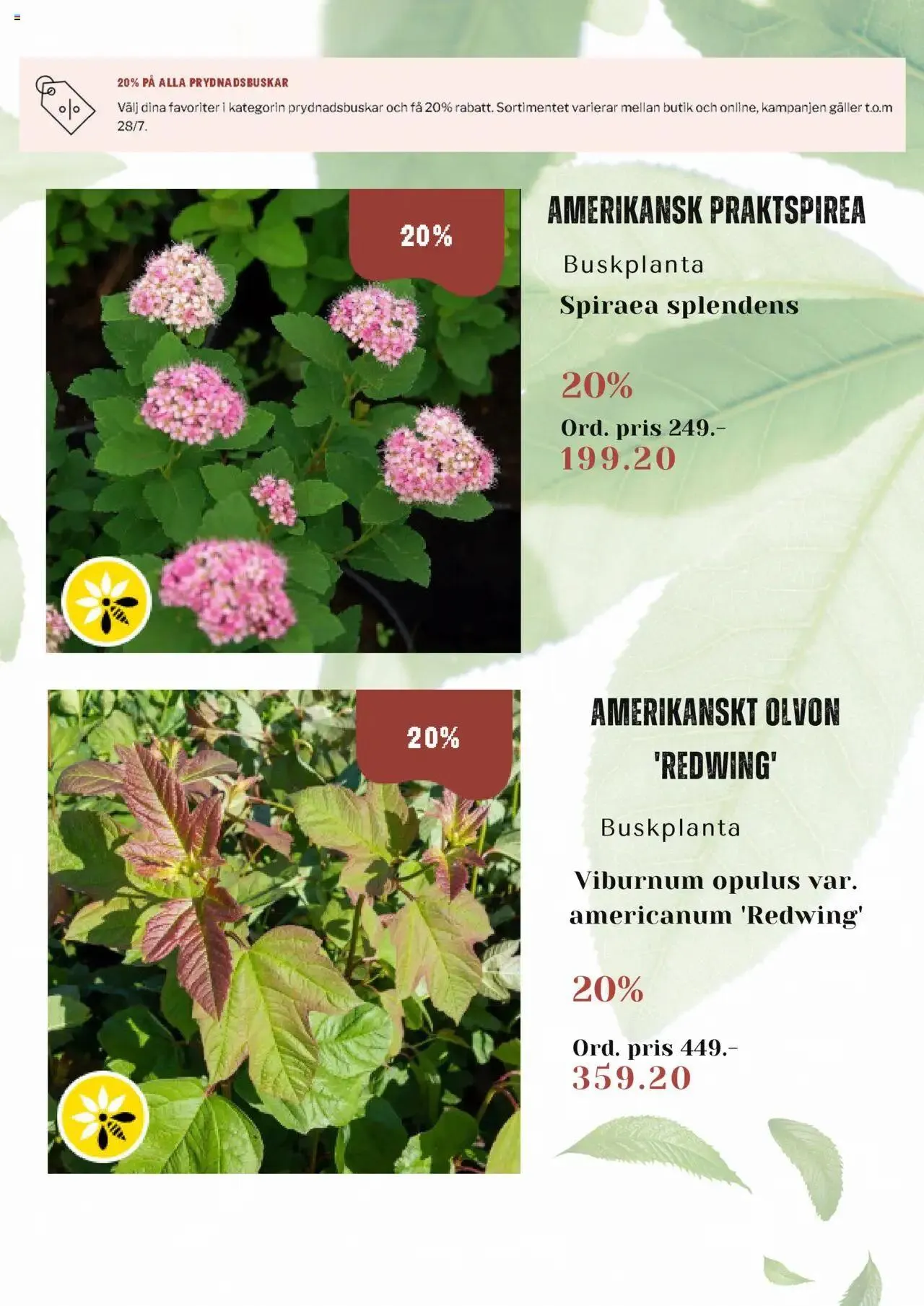 Blomsterlandet - erbjudanden från 15 juli till 28 juli 2024 - Reklamblad sidor 2