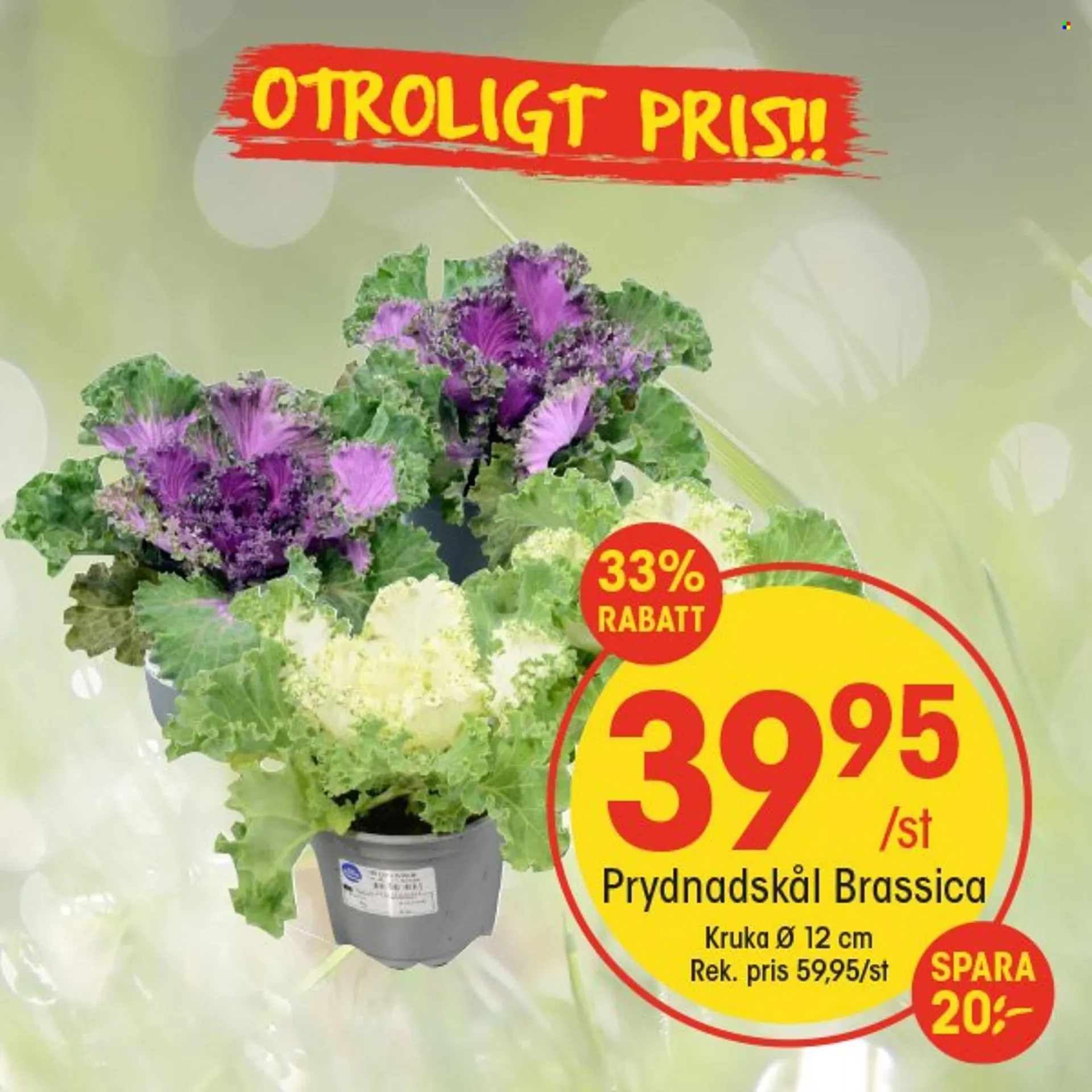 EKO reklamblad från 30 augusti till 7 september 2025 - Reklamblad sidor 8