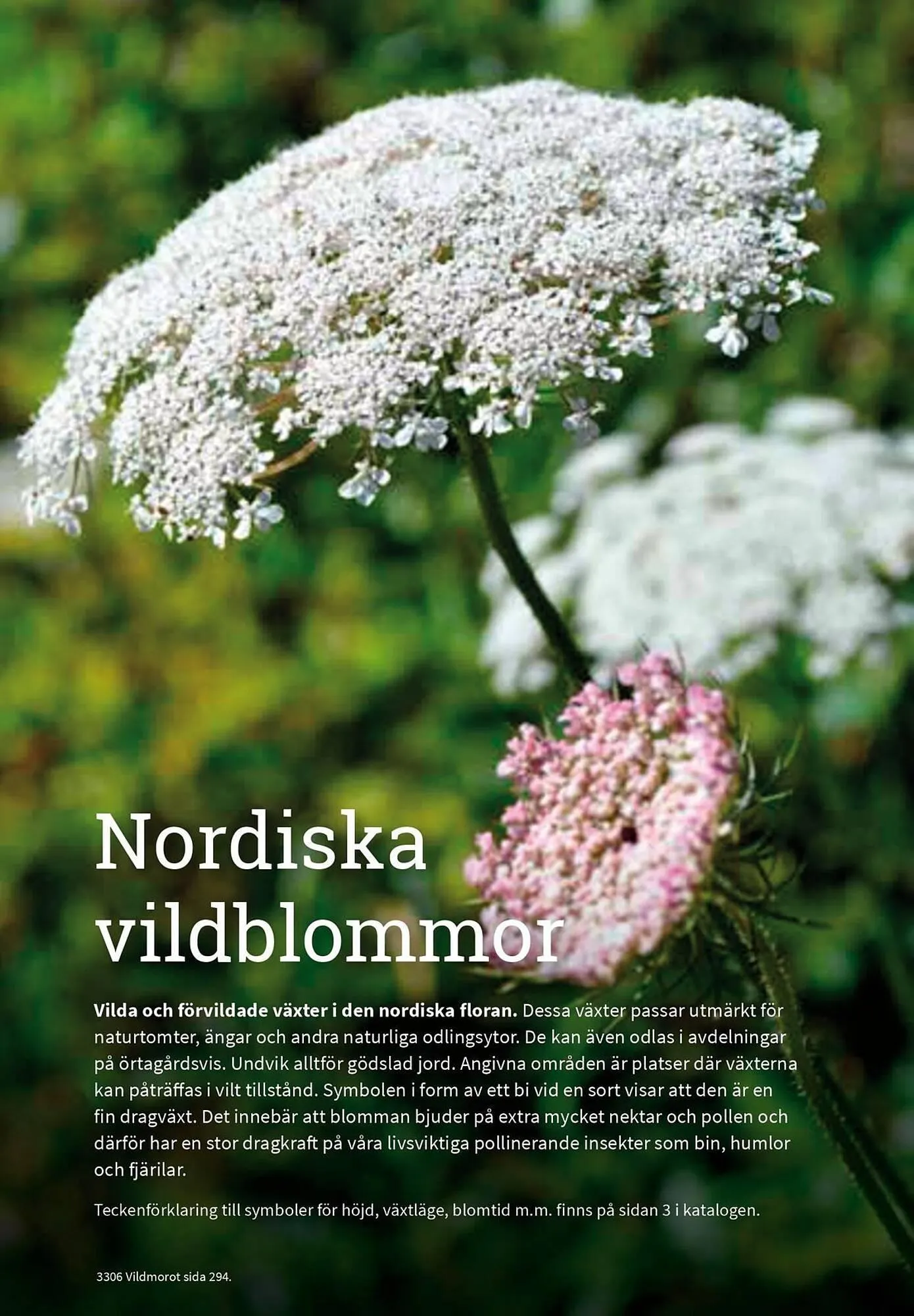 Granngården kampanjblad från 11 september till 31 december 2025 - Reklamblad sidor 291