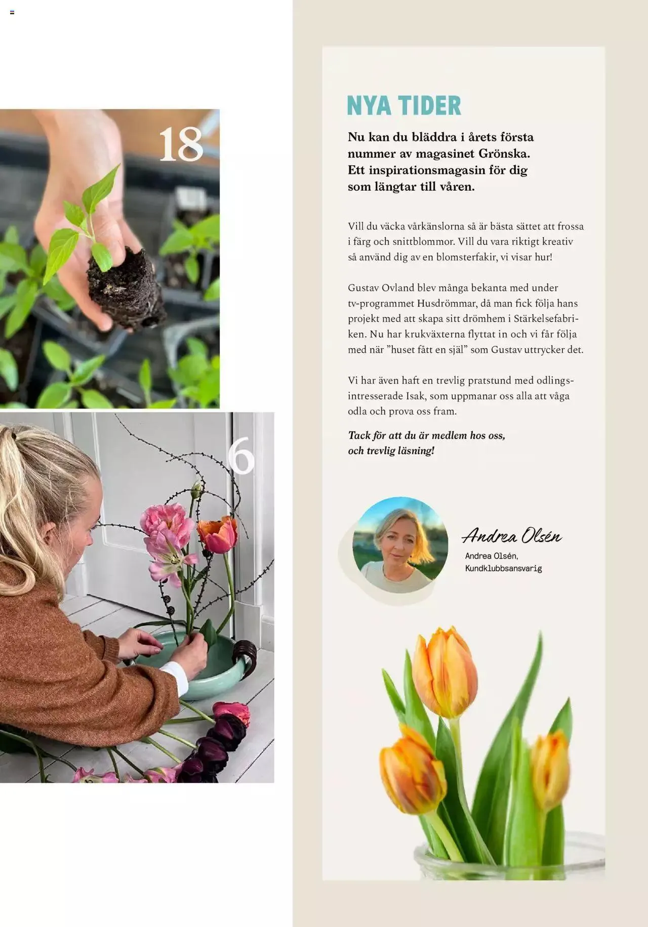 Blomsterlandet - Grönska #1 från 6 februari till 31 december 2023 - Reklamblad sidor 3