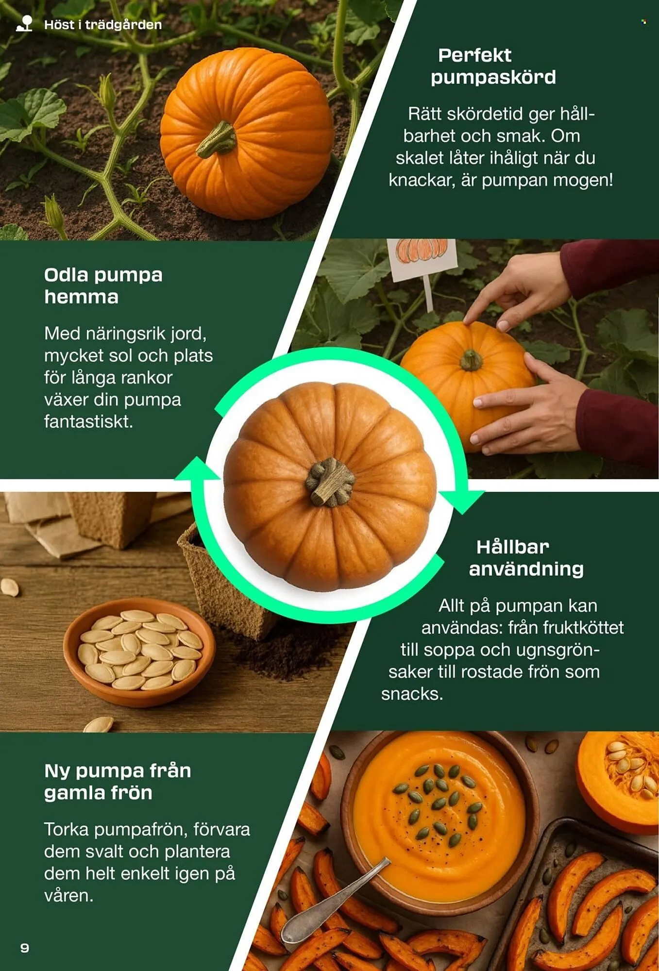 Lidl reklamblad från 31 augusti till 8 september 2025 - Reklamblad sidor 9