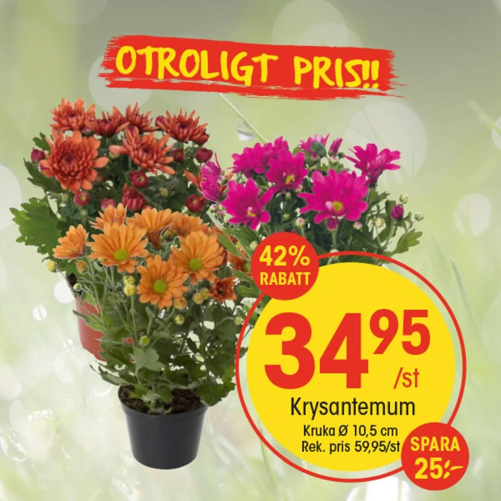 EKO reklamblad från 7 april till 13 april 2025 - Reklamblad sidor 6