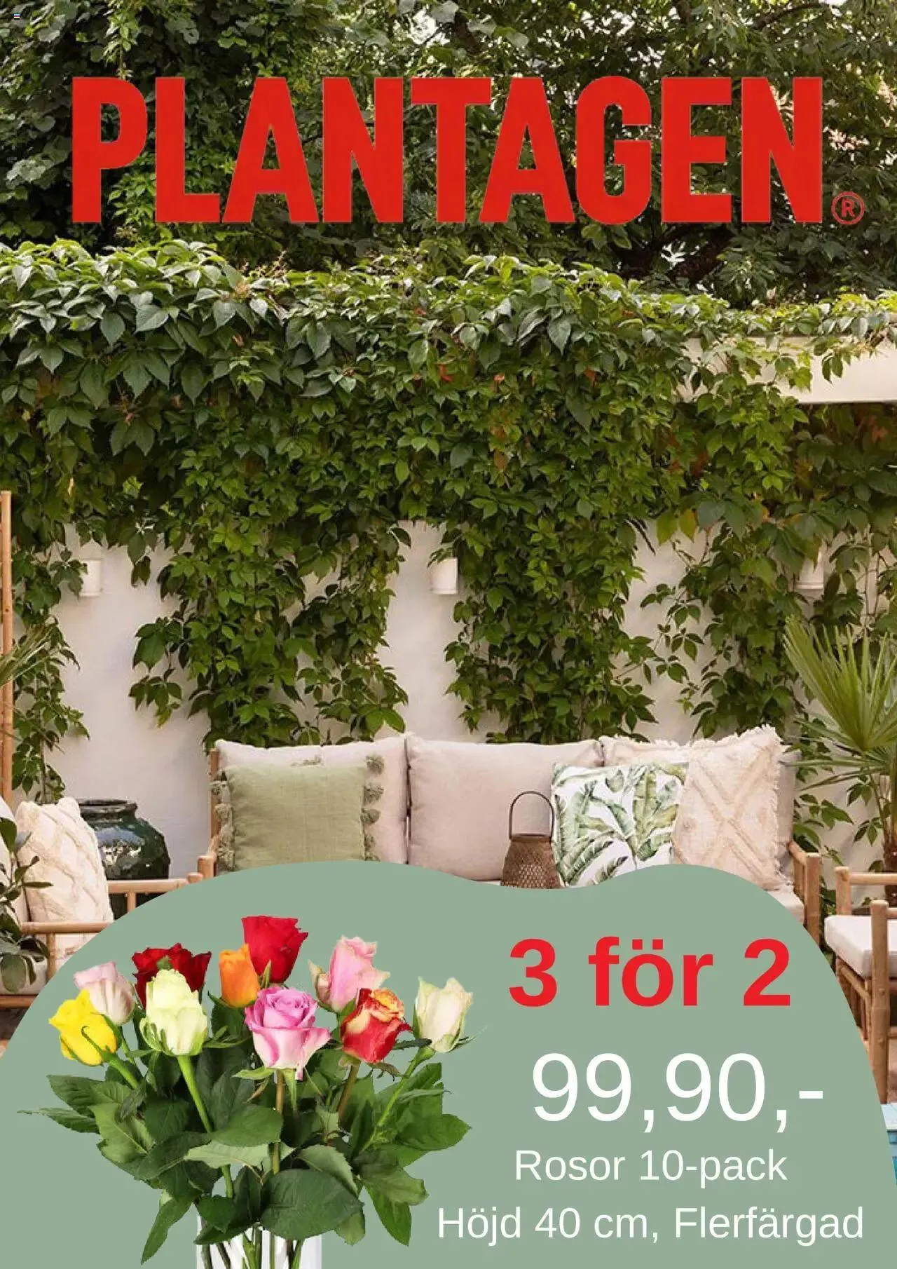 Plantagen - erbjudanden - 0