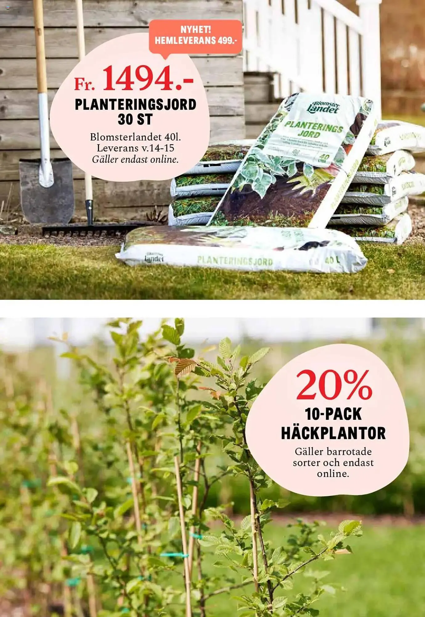 Blomsterlandet reklamblad från 24 mars till 30 mars 2025 - Reklamblad sidor 7