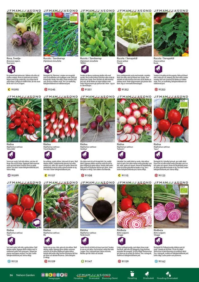 Nelson Gardens frökatalog 2024 är här! från 6 mars till 31 december 2024 - Reklamblad sidor 26