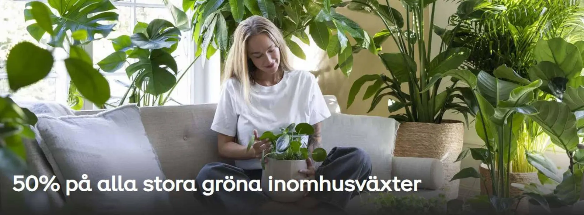 Plantagen reklamblad från 28 augusti till 12 september 2025 - Reklamblad sidor 2