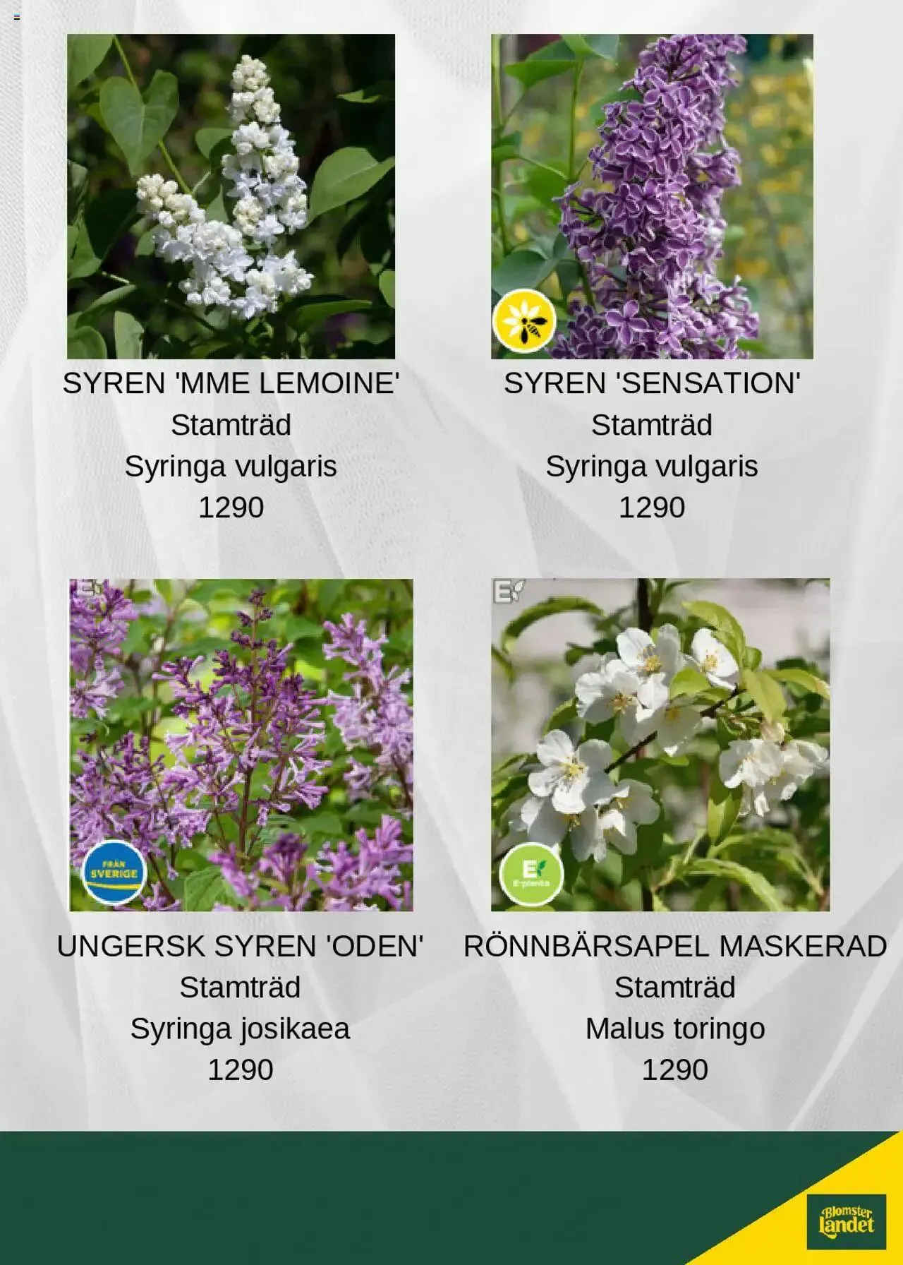 Blomsterlandet - erbjudanden från 8 juli till 31 december 2024 - Reklamblad sidor 3
