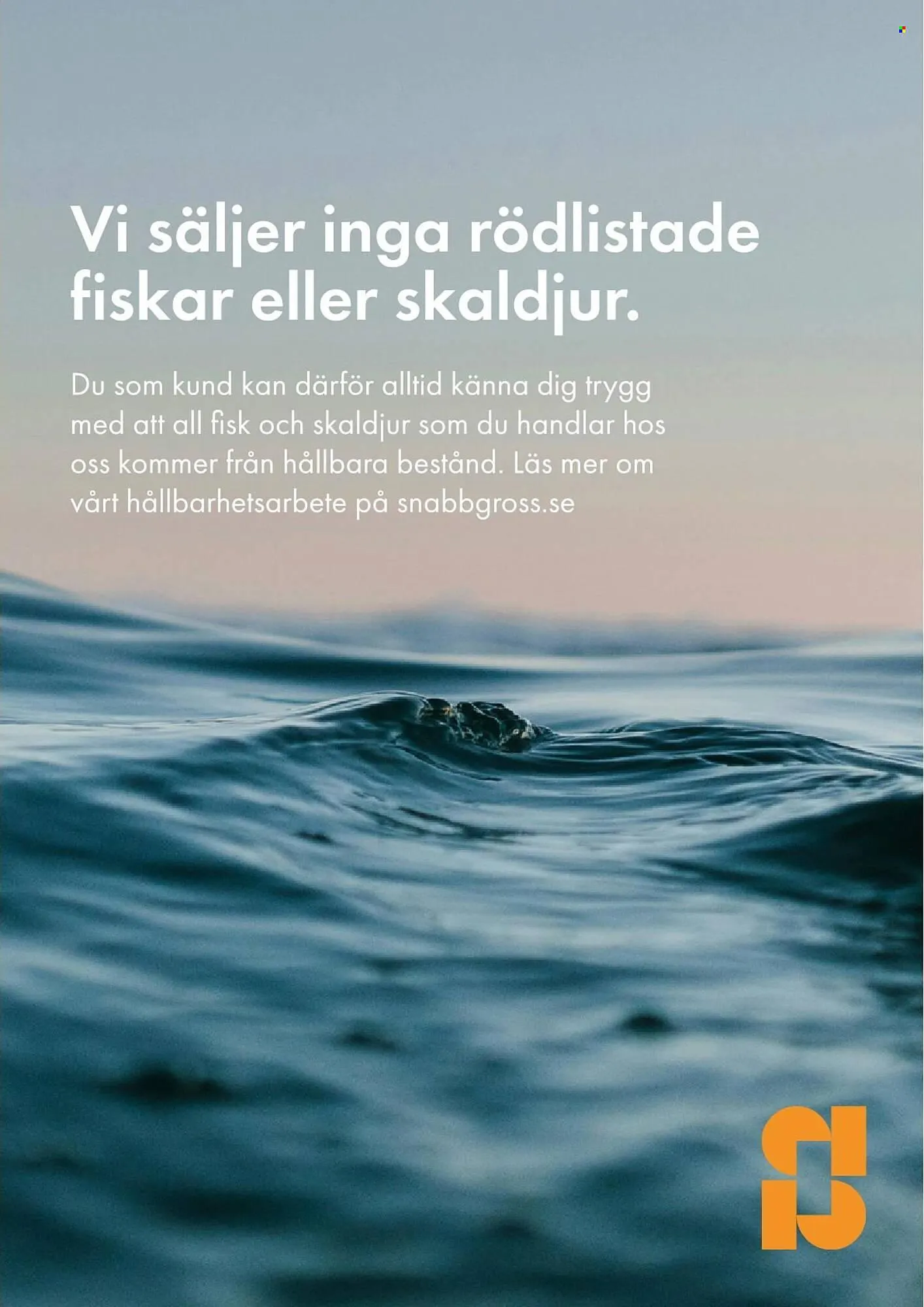 Snabbgross reklamblad från 25 september till 28 september 2025 - Reklamblad sidor 9