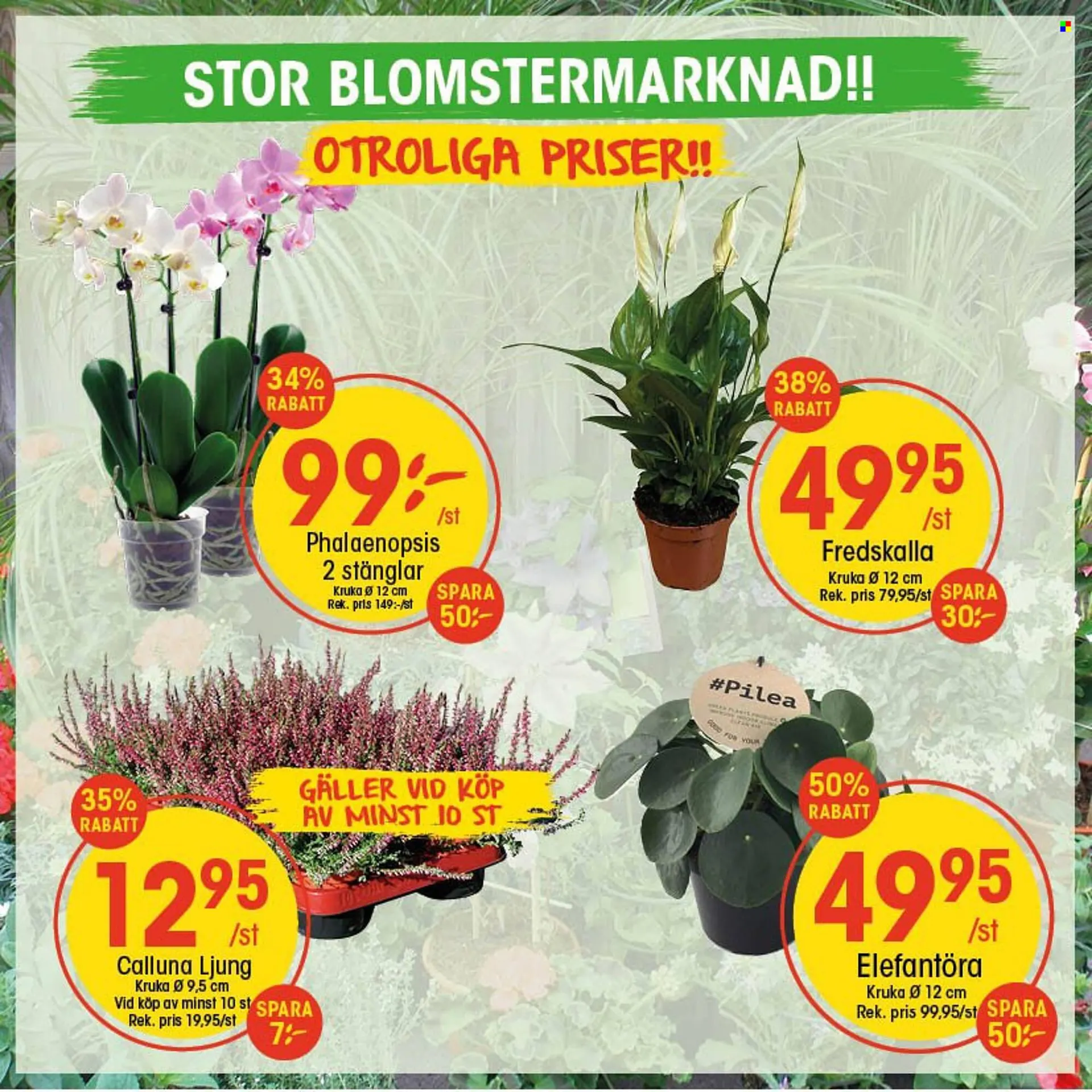 EKO reklamblad från 30 augusti till 8 september 2025 - Reklamblad sidor 2