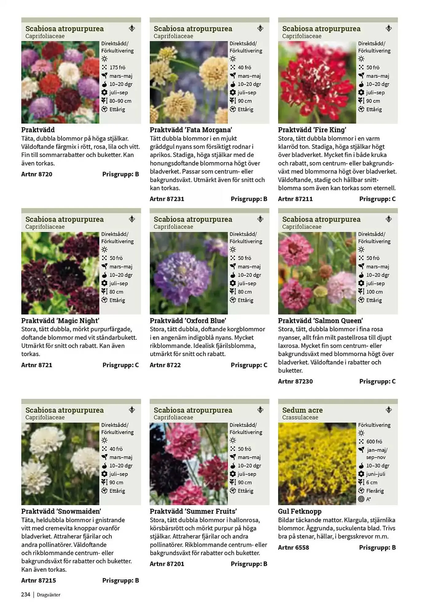 Impecta reklamblad från 23 januari till 31 december 2025 - Reklamblad sidor 234