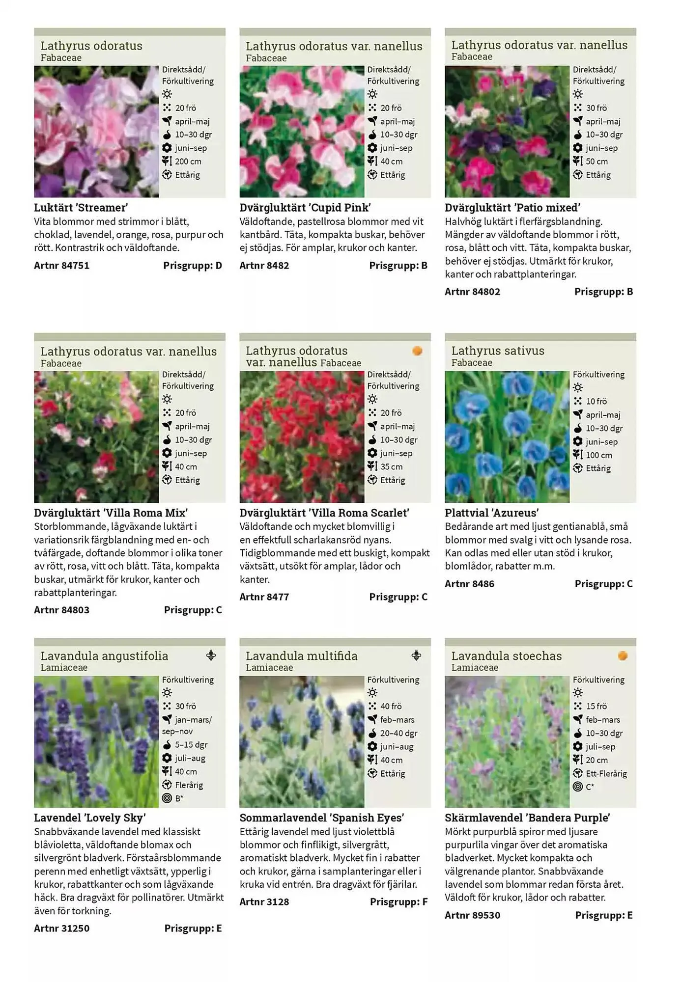 Impecta reklamblad från 23 januari till 31 december 2025 - Reklamblad sidor 156