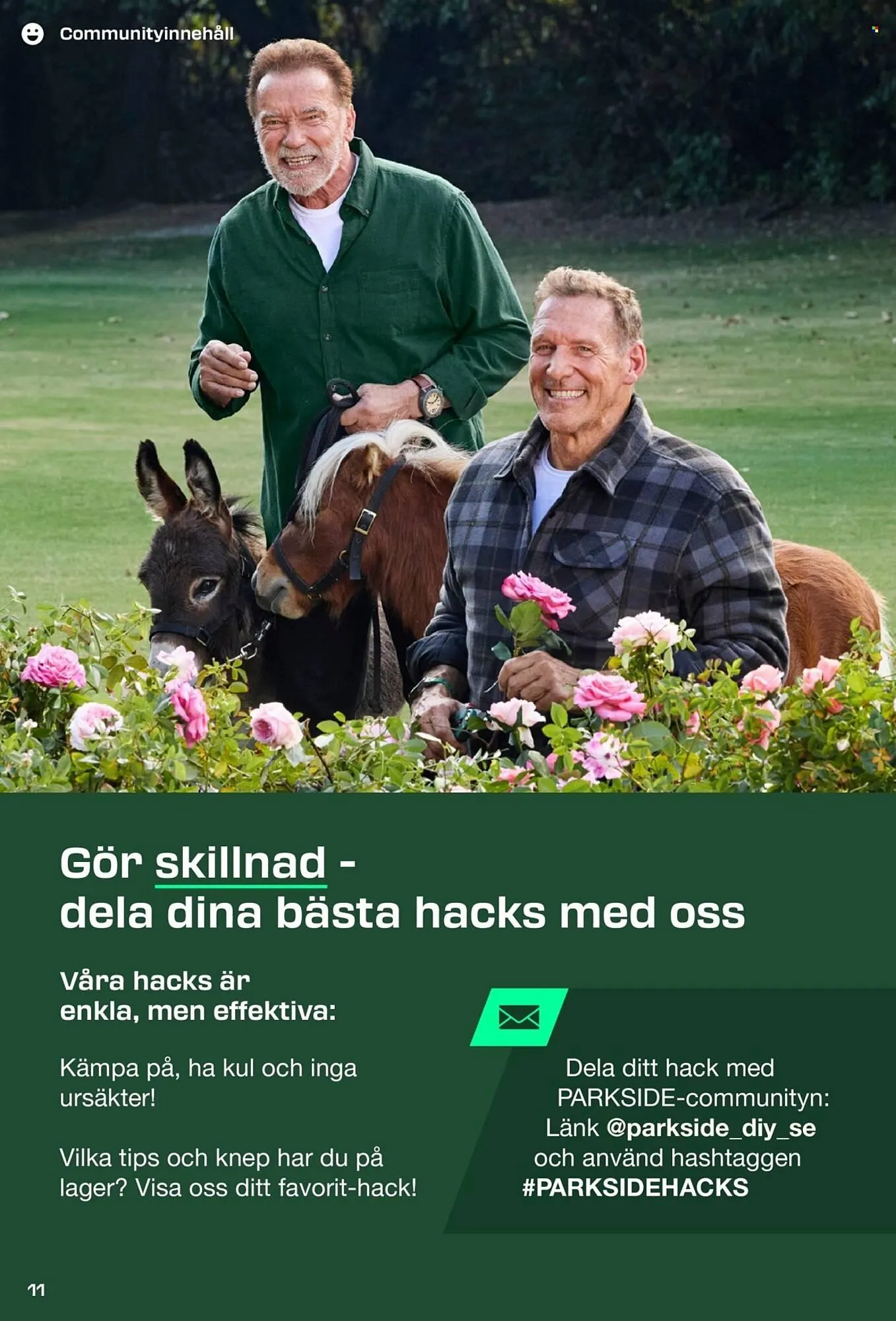 Lidl reklamblad från 31 augusti till 8 september 2025 - Reklamblad sidor 11
