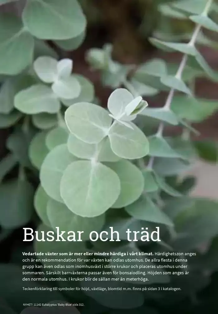 Frökatalog 2025! från 23 januari till 31 december 2025 - Reklamblad sidor 311