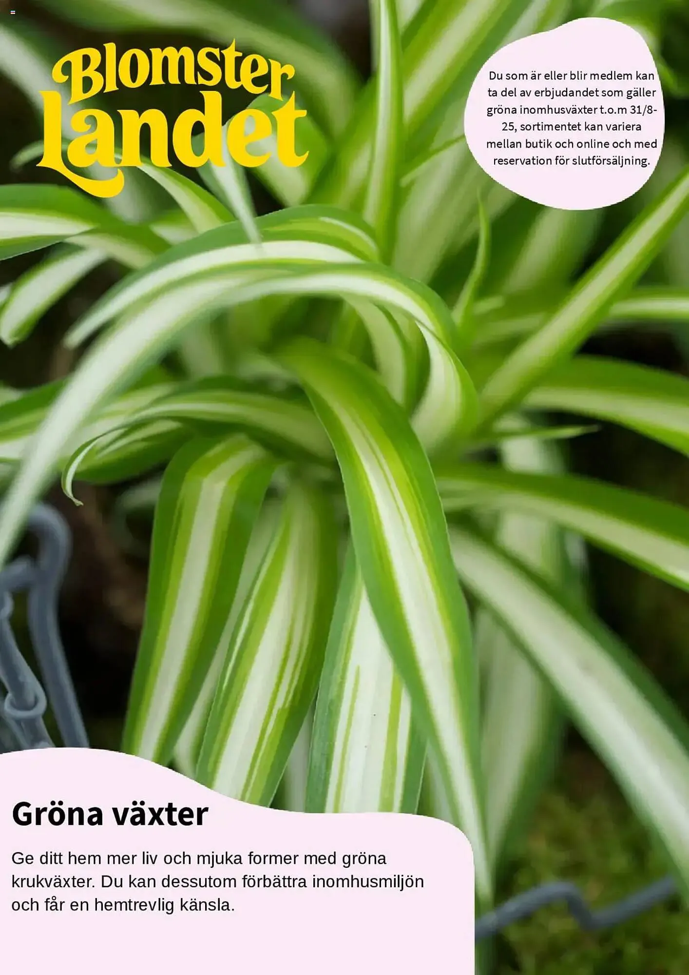 Blomsterlandet reklamblad - 1