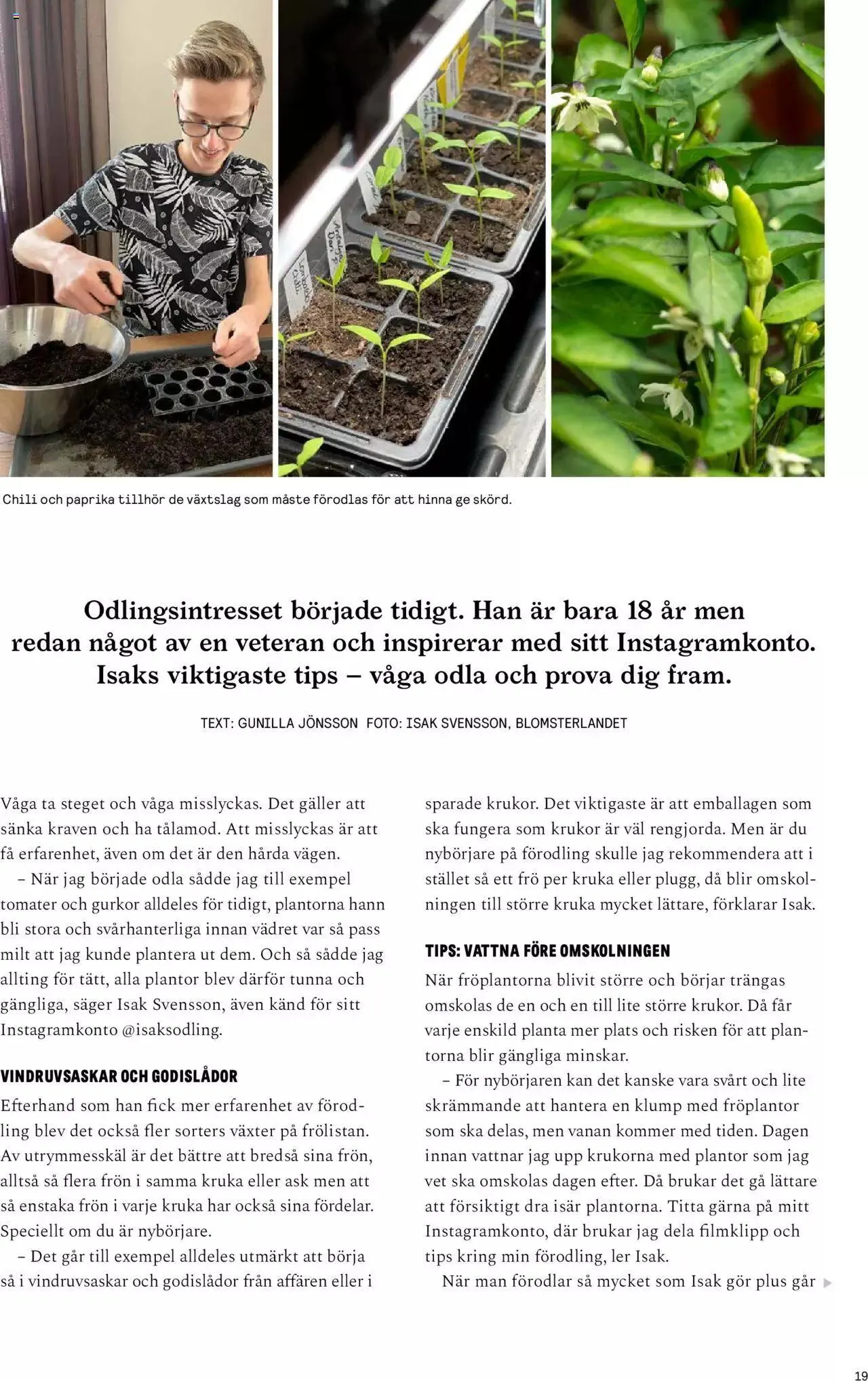 Blomsterlandet - Grönska #1 från 6 februari till 31 december 2023 - Reklamblad sidor 19