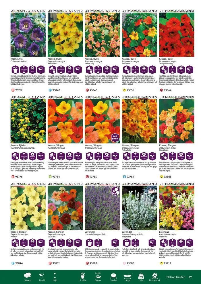 Nelson Gardens frökatalog 2024 är här! från 6 mars till 31 december 2024 - Reklamblad sidor 37