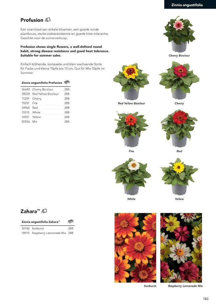 Annuals 2024 . från 15 februari till 31 december 2024 - Reklamblad sidor 187