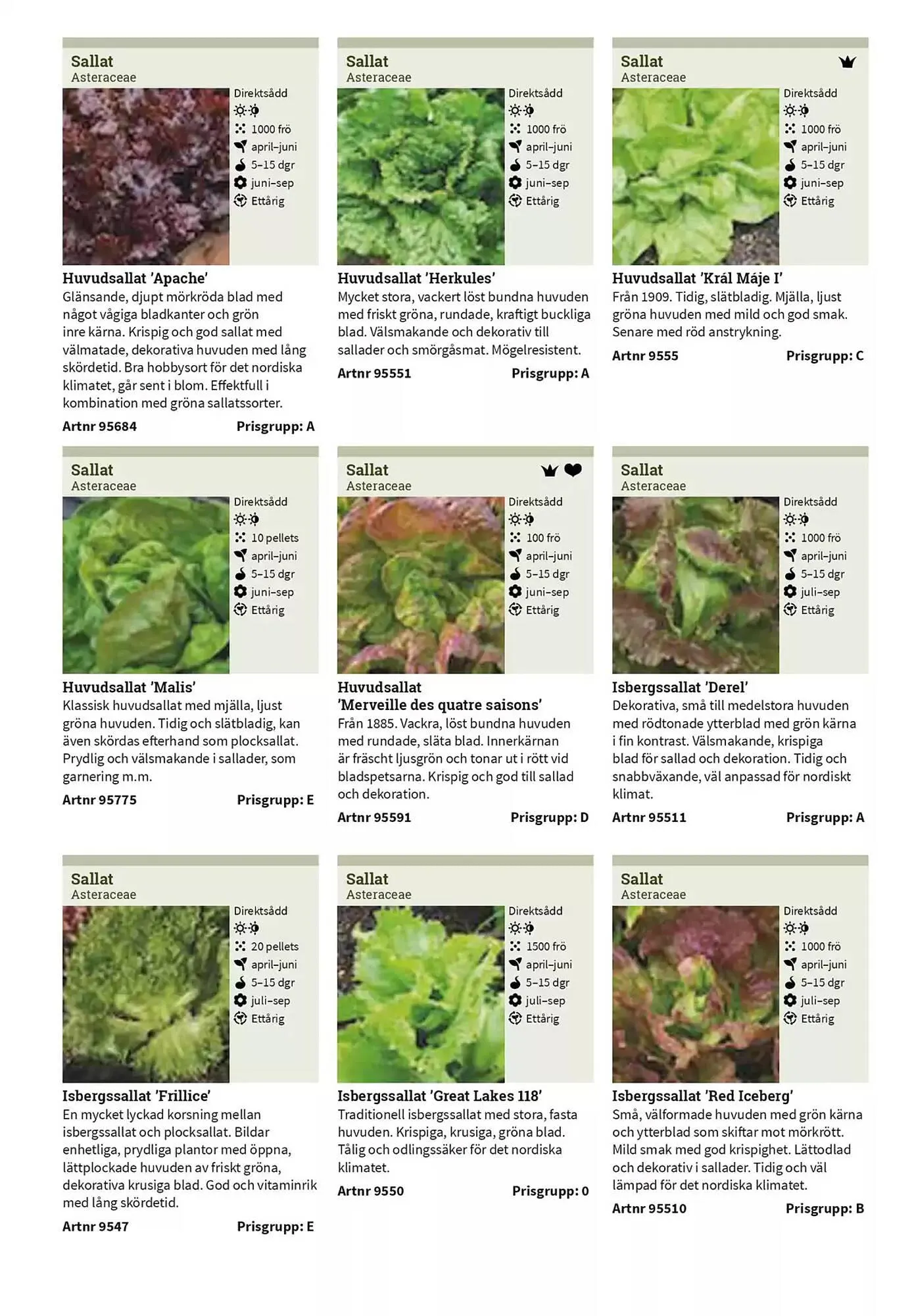Impecta reklamblad från 23 januari till 31 december 2025 - Reklamblad sidor 51