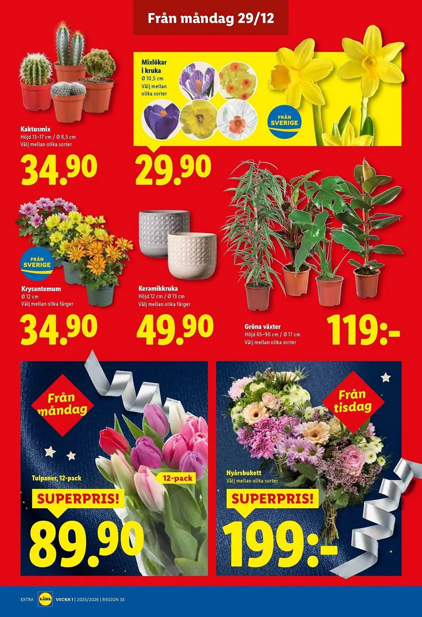 Lidl reklamblad från 29 december till 4 januari 2026 - Reklamblad sidor 19