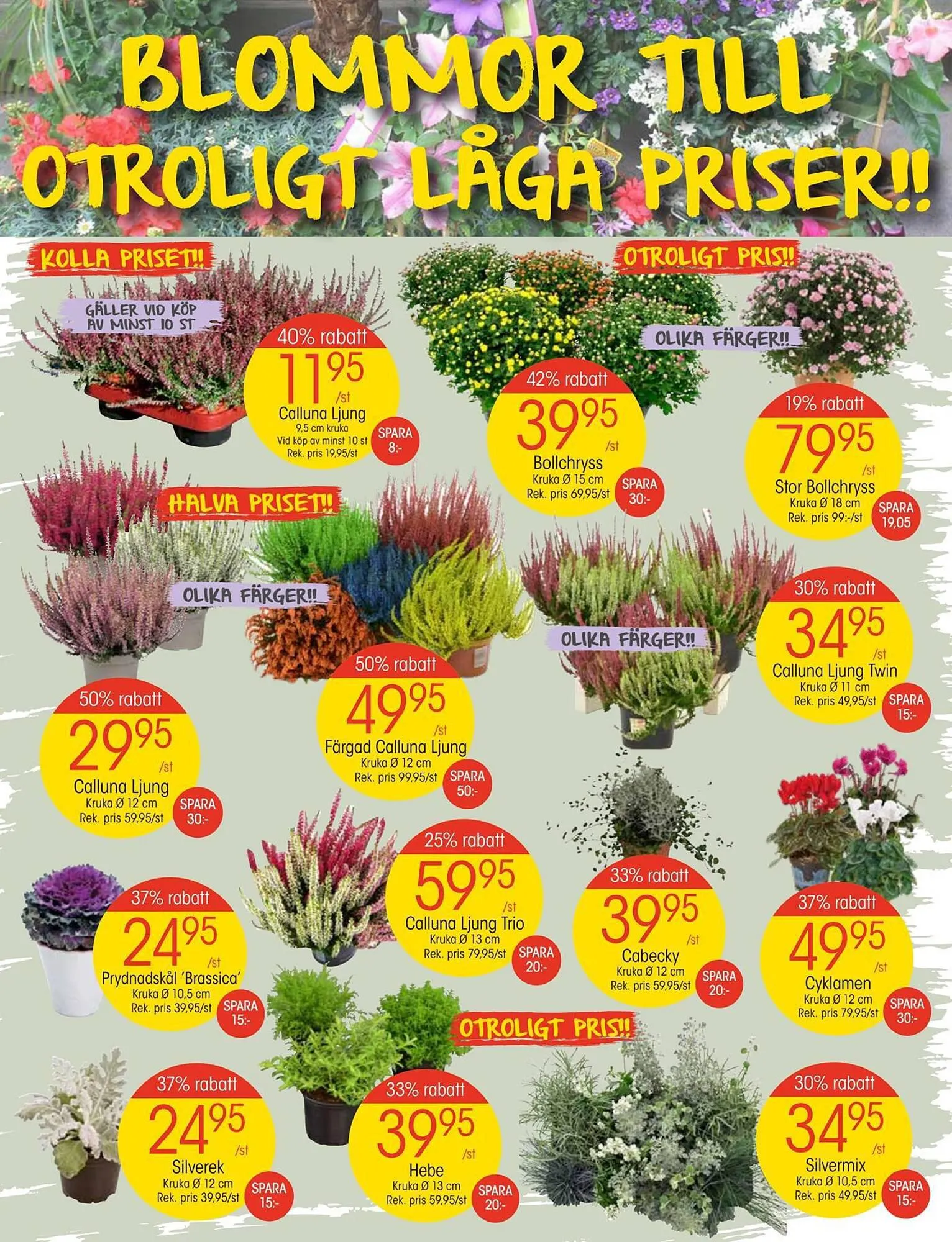 EKO reklamblad från 10 september till 17 september 2023 - Reklamblad sidor 2