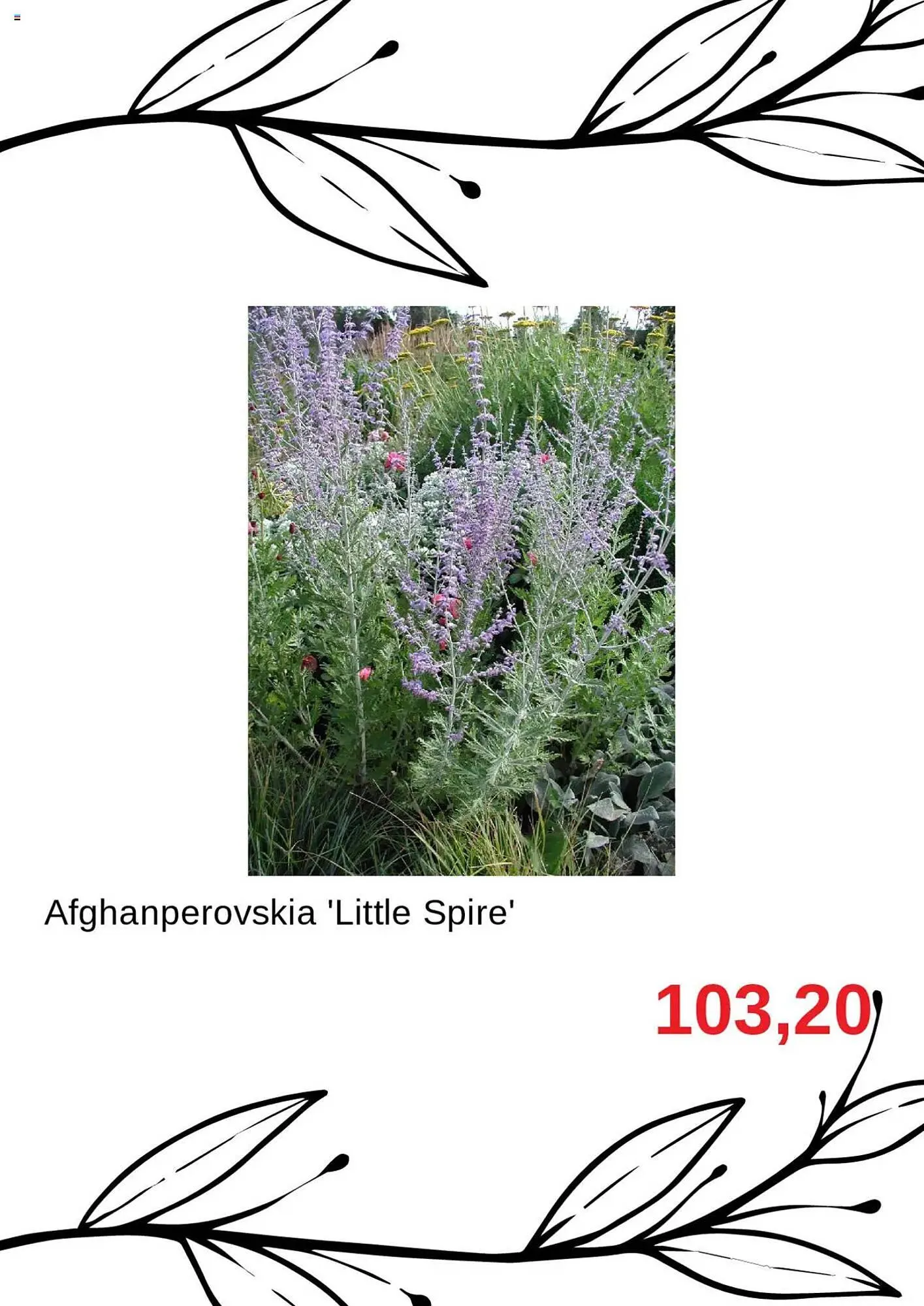 Blomsterlandet reklamblad från 23 juli till 6 augusti 2025 - Reklamblad sidor 2