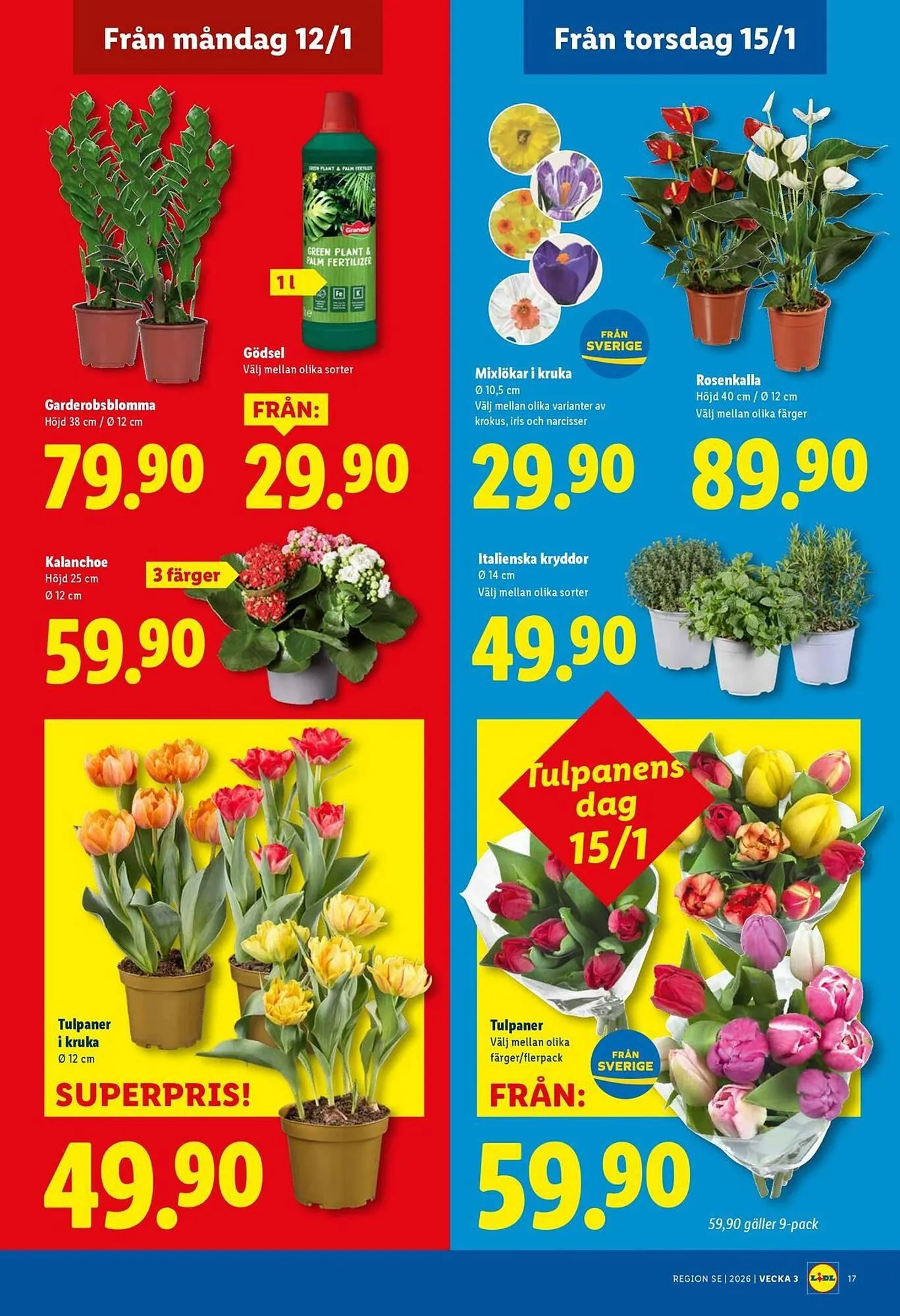Lidl reklamblad från 12 januari till 18 januari 2026 - Reklamblad sidor 19