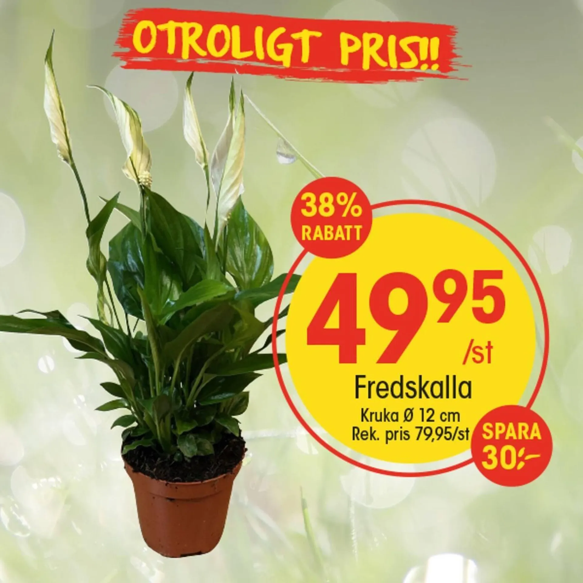 EKO reklamblad från 12 augusti till 16 augusti 2025 - Reklamblad sidor 1