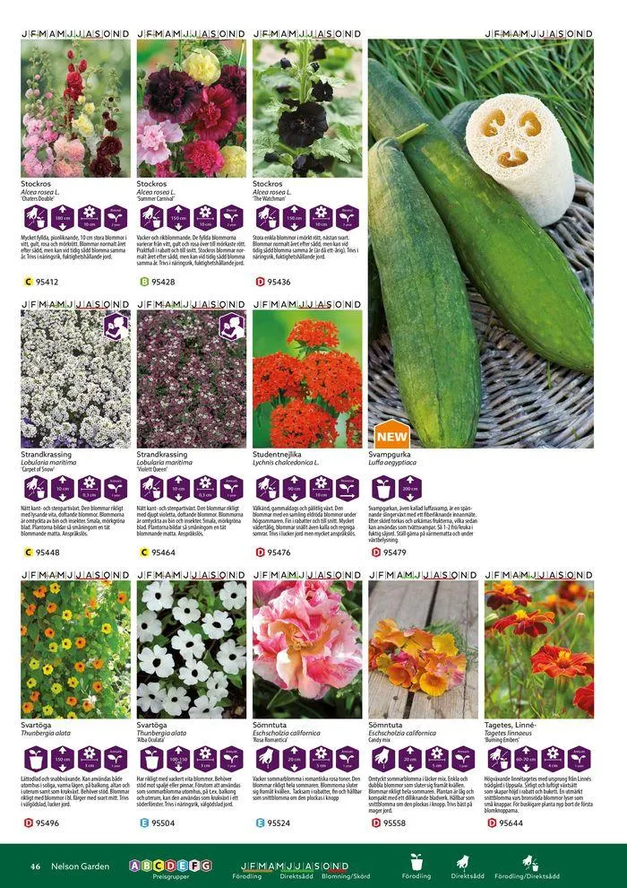 Nelson Gardens frökatalog 2024 är här! från 6 mars till 31 december 2024 - Reklamblad sidor 46