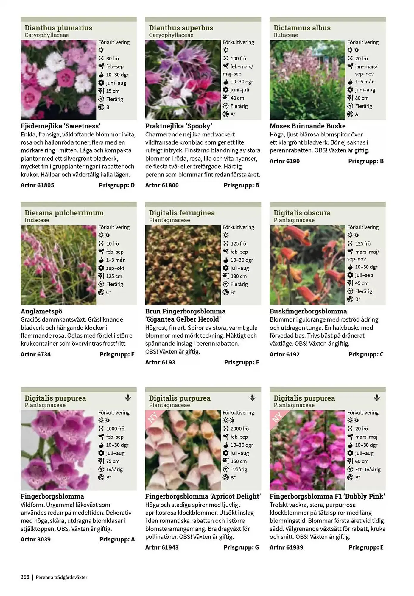 Impecta reklamblad från 23 januari till 31 december 2025 - Reklamblad sidor 258