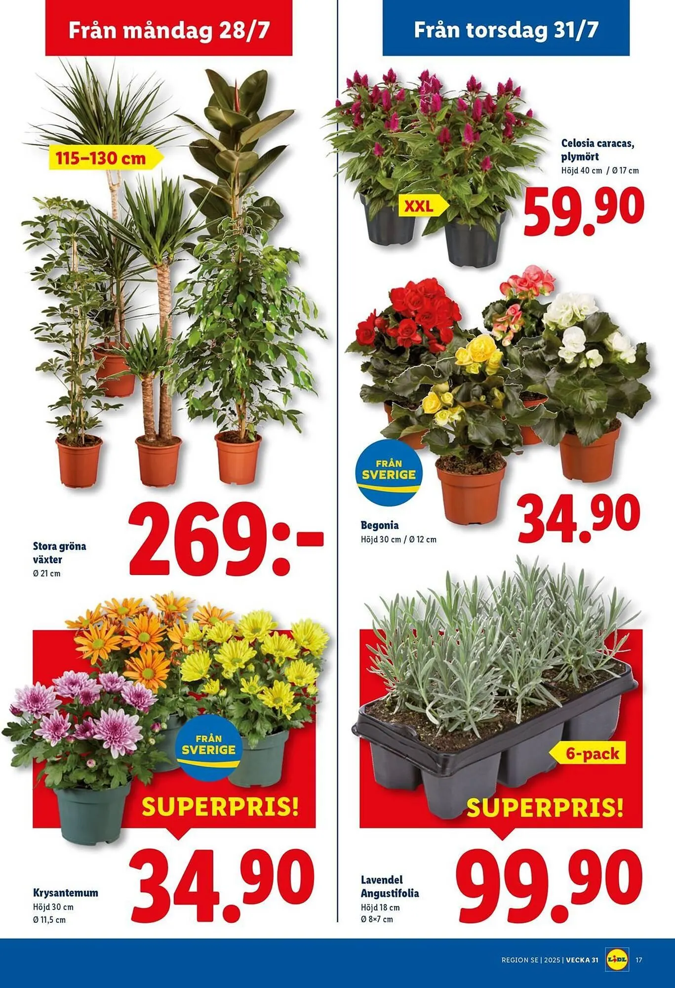 Lidl reklamblad från 28 juli till 3 augusti 2025 - Reklamblad sidor 20