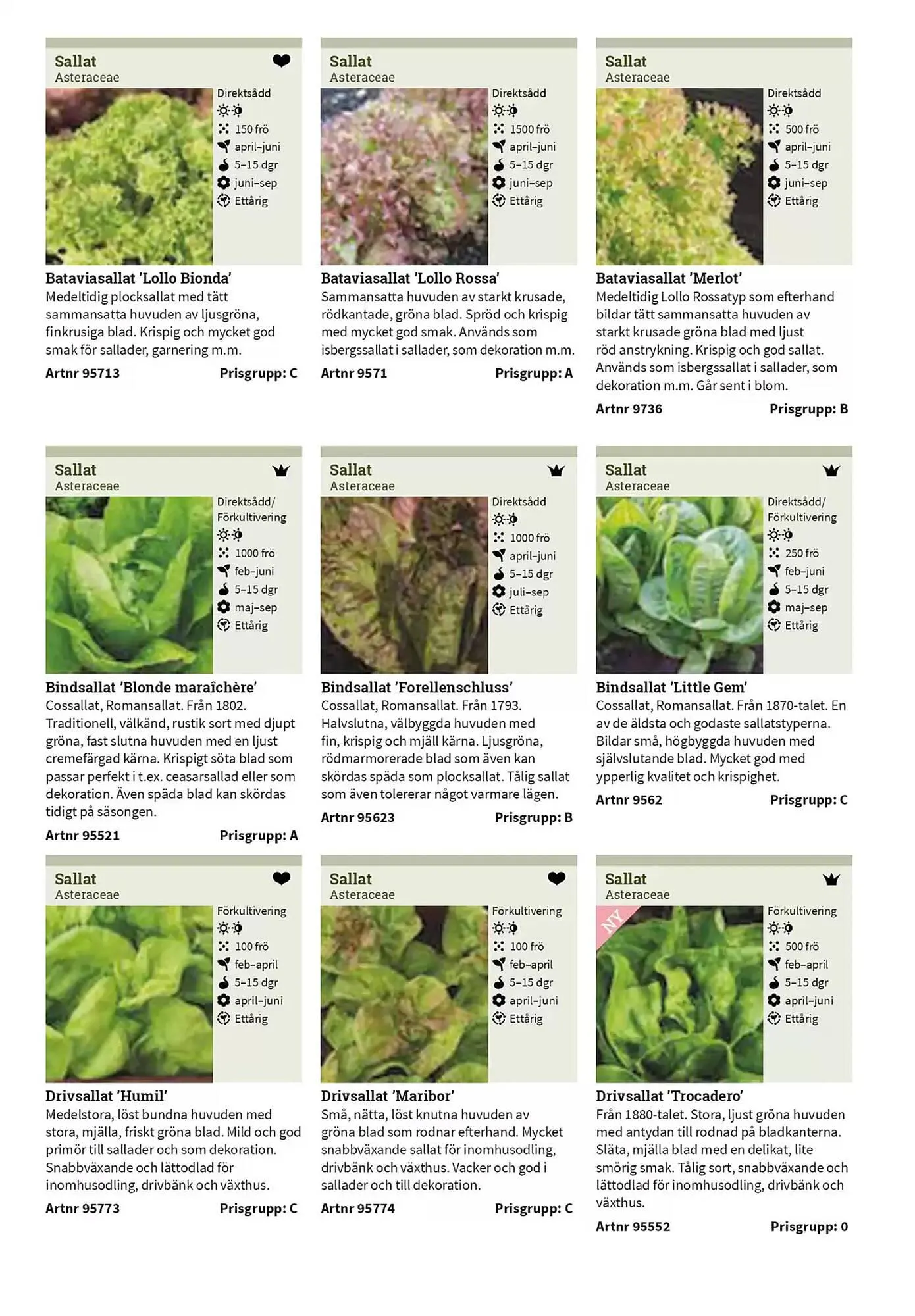 Impecta reklamblad från 23 januari till 31 december 2025 - Reklamblad sidor 50