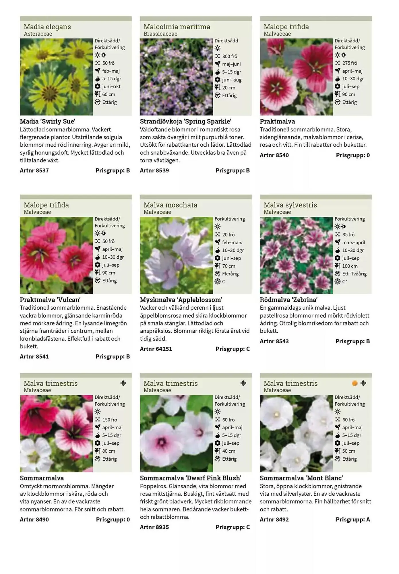 Impecta reklamblad från 23 januari till 31 december 2025 - Reklamblad sidor 162