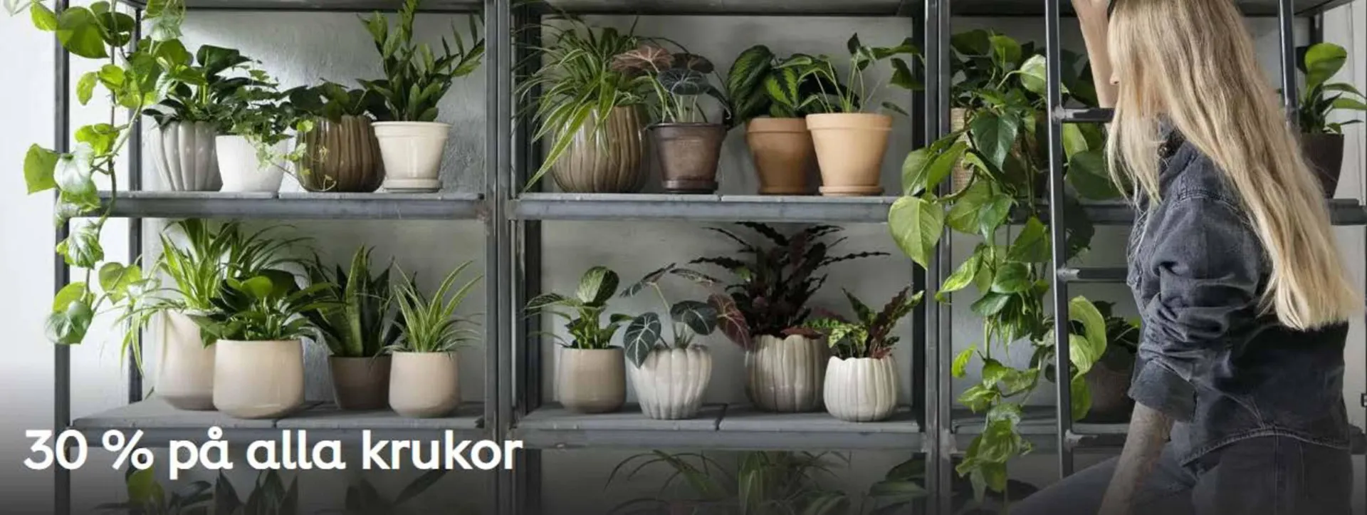 Plantagen reklamblad från 28 augusti till 12 september 2025 - Reklamblad sidor 3