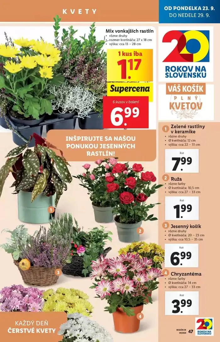 Leták: Platný od pondelka 23. 09. 2024 od 23. septembra do 29. septembra 2024 - Prehľad Stránky 56