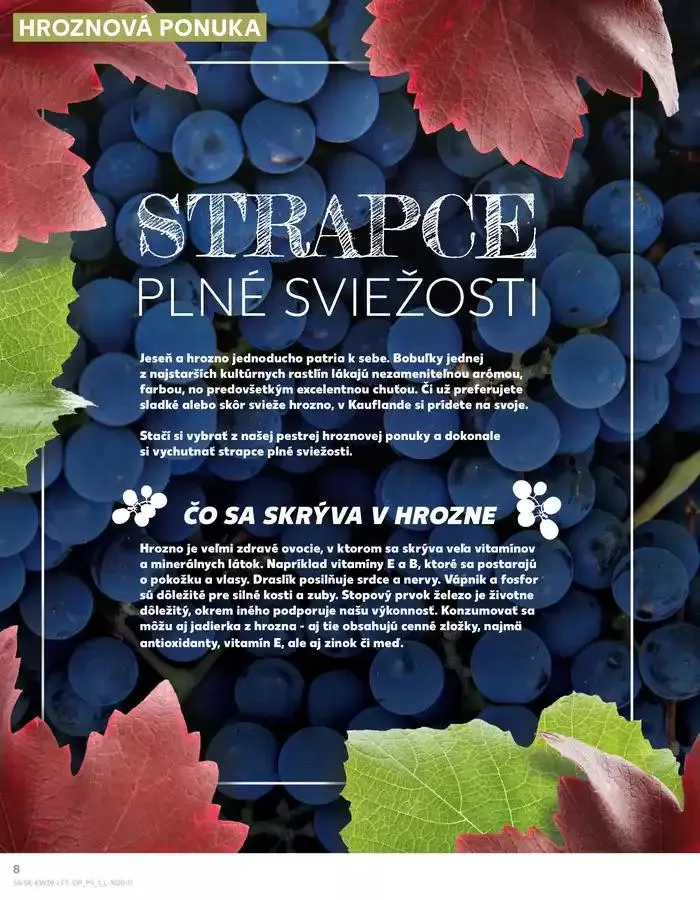 Leták: Naše najlepšie ponuky pre vás od 26. septembra do 2. októbra 2024 - Prehľad Stránky 8