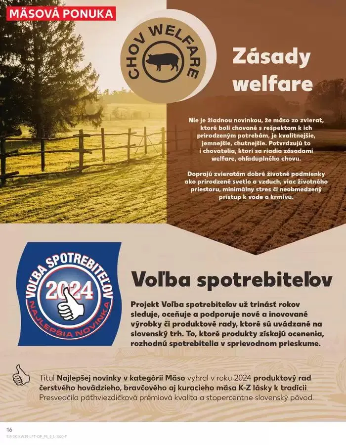 Leták: Naše najlepšie ponuky pre vás od 26. septembra do 2. októbra 2024 - Prehľad Stránky 16