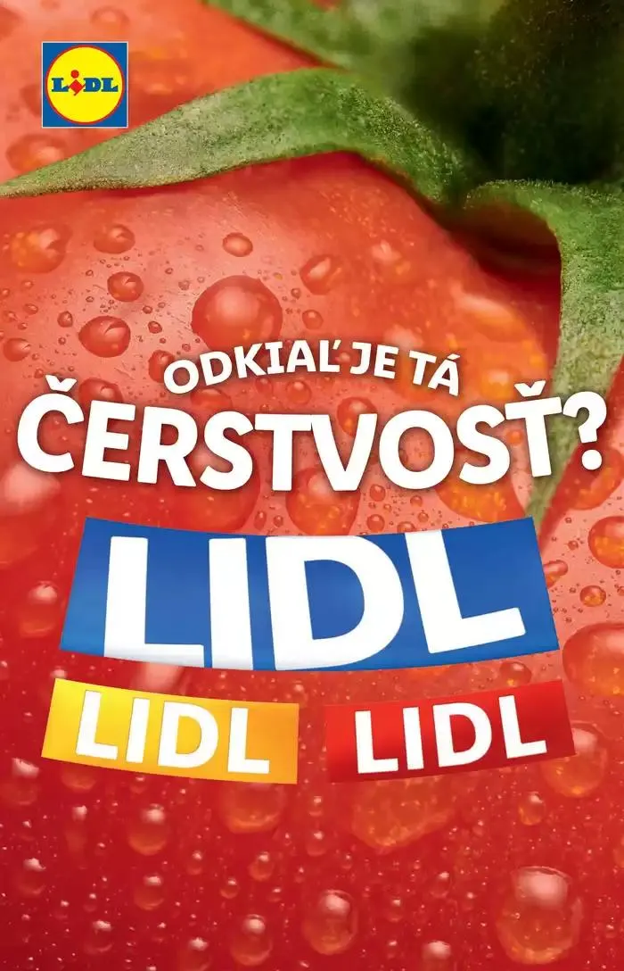 Leták: Platný od pondelka 23. 09. 2024 od 23. septembra do 29. septembra 2024 - Prehľad Stránky 19