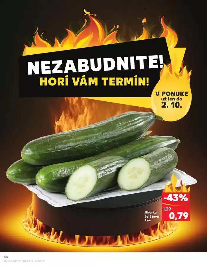 Leták: Naše najlepšie ponuky pre vás od 26. septembra do 2. októbra 2024 - Prehľad Stránky 66