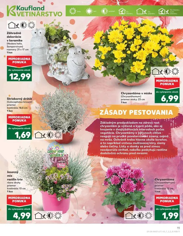 Leták: Exkluzívne výhodné ponuky od 12. septembra do 18. septembra 2024 - Prehľad Stránky 11